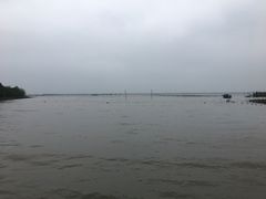 -东寨港红树林旅游区