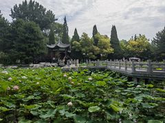 -晋祠公园