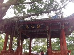 -乌山风景区