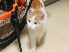 -瑞派福兴宠物医院犬猫全科·骨科·中西医结合(河东店)