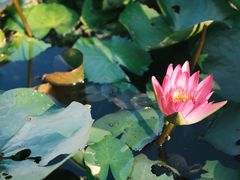 -三亚南山文化旅游区