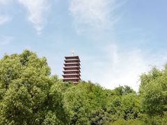 -牛首山文化旅游区