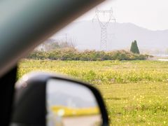 -妈妈菜舟山海鲜(定海古城店)