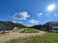 -齐岳山