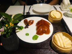 -梧桐
