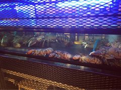 -Burger & Lobster(Dean Street)