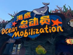 -海合安武汉极地海洋公园