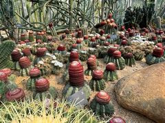 -深圳仙湖植物园