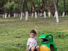 -长白岛森林公园