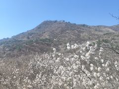 -妙峰山风景名胜区