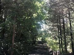 -周口店北京人遗址公园