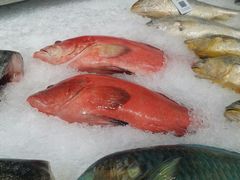 -盒马X会员店(王府井奥莱UP TOWN店)