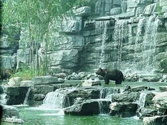 -北京野生动物园