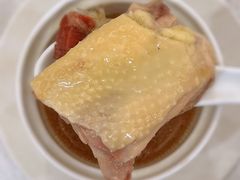 -金鮀岛潮州酒家