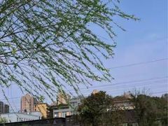 -千龙湖生态旅游度假区