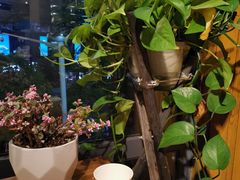 -帽帽家只卖生蚝·烧烤(沙湖路店)