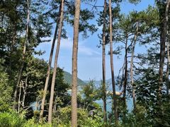 -千岛湖东南湖区