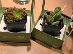 -四季餐厅·新津菜(环湖中路店)