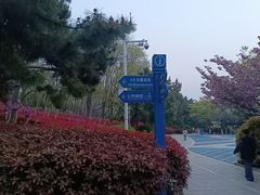 -燕儿岛山公园