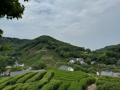 -十里琅珰