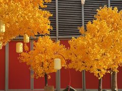 -龙湖杭州滨江天街