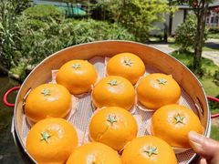 -湘力力小院·鱼汤泡饭(枫林路店)