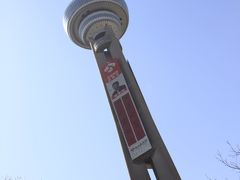 -南京古林公园