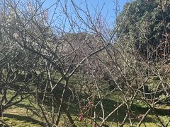 -无锡梅园公园