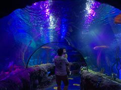 -沈阳海洋探索中心