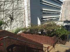 -香港大学