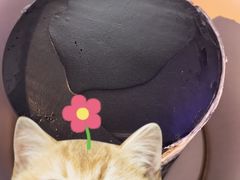 -Biteology Artisan Cakes(红庄·国际文化保税创新园店)
