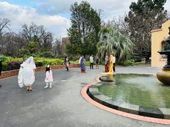 -斐兹洛伊花园