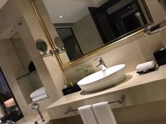 -合肥丰大国际大酒店