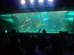 -泉城欧乐堡海洋极地世界