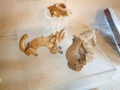 -北京动物园-畅观楼