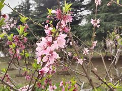 -白塘生态植物园