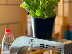 -九田家黑牛烤肉料理(华侨城店)