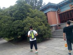 -重庆德庄火锅(胖东来云鼎店)