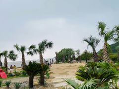 -外蒲山