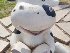 -君乐宝优致牧场
