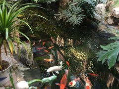 -聚缘堂·海鲜私房菜(松岭路店)