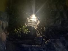 -Perry's·酒吧(打浦桥店)