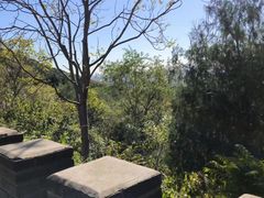 -北京十三陵国家森林公园蟒山景区