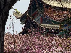 -博山正觉寺