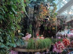 -正佳雨林生态植物园