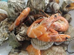 -渔家小院观海海肠捞饭地方菜(环海中路店)