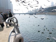 -马栏河运动公园
