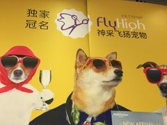 -神采飞扬宠物美容(香港路店)