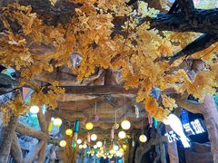 -横店影视城梦幻谷园区