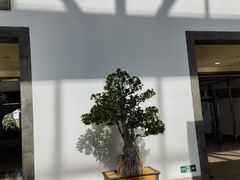 -香山公园